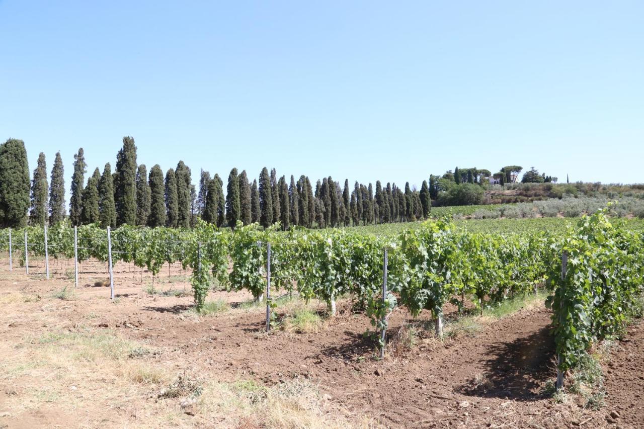 Tenuta Di Pietra Porzia Monte Porzio Catone Exterior photo