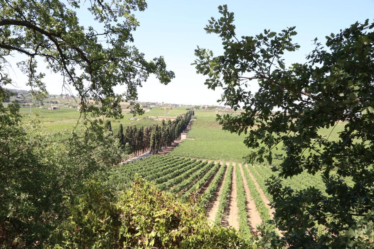 Tenuta Di Pietra Porzia Monte Porzio Catone Exterior photo